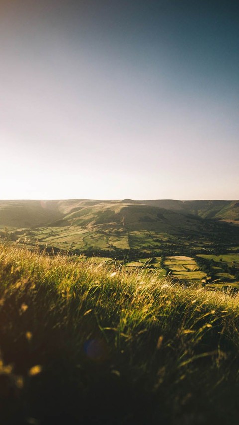 Field Background Wallpaper HD Download