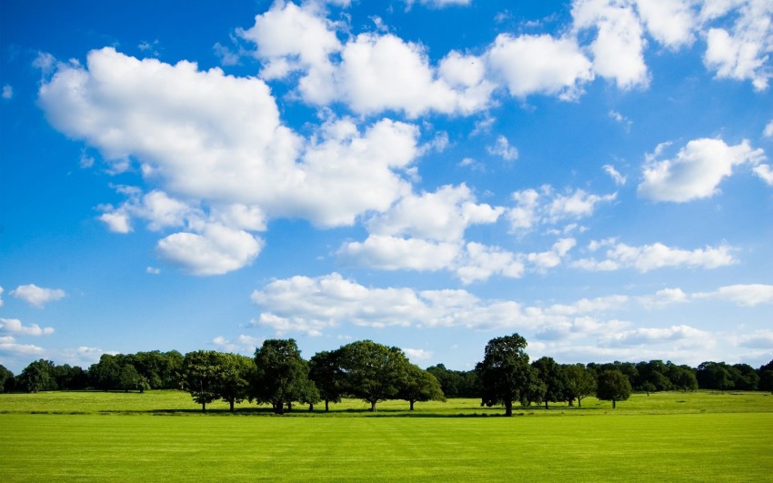 Field Background Wallpaper HD Download