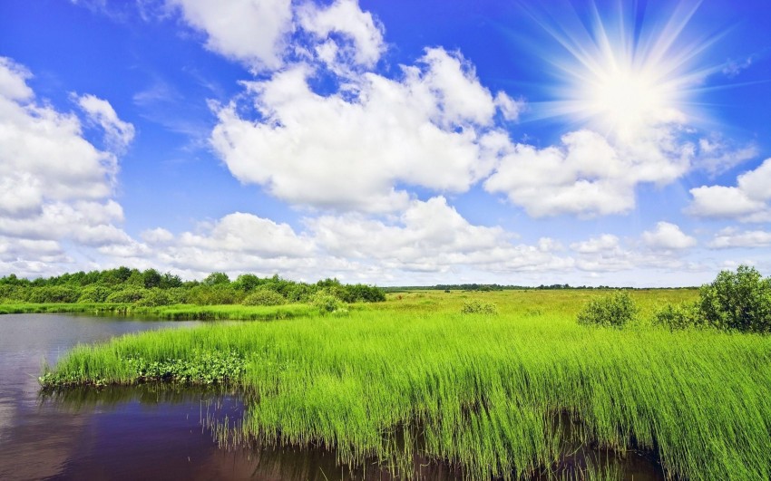 Field Background Wallpaper HD Download