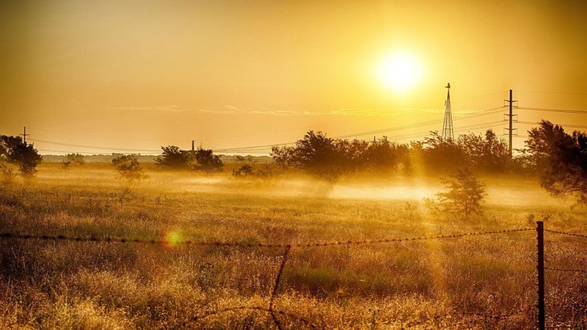 Field Background Wallpaper HD Download