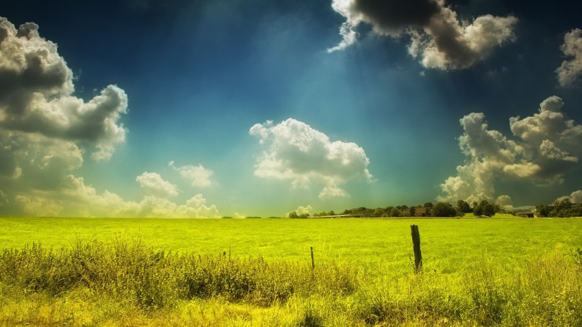 Field Background Wallpaper HD Download