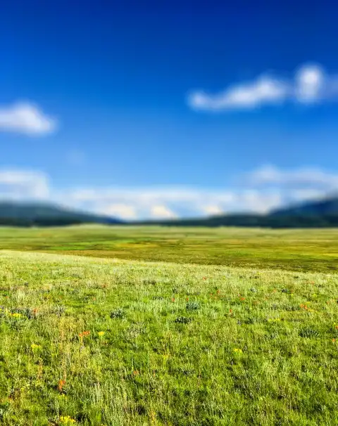 Field CB Picsart Editing Background HD Download