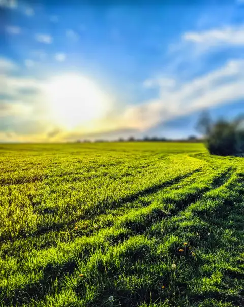 Field  Picsart Editing Background HD Download