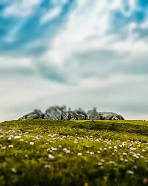 Field With Sky CB Picsart Editing Background HD Download