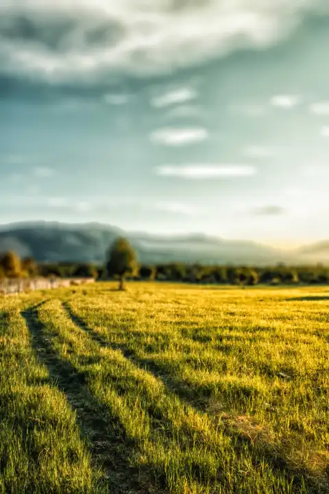 Field With Sky CB Picsart Editing Background HD Download