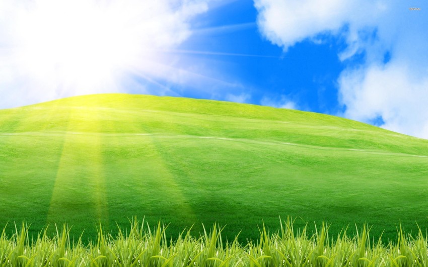 Field With Sky Photo Background Wallpaper HD Download