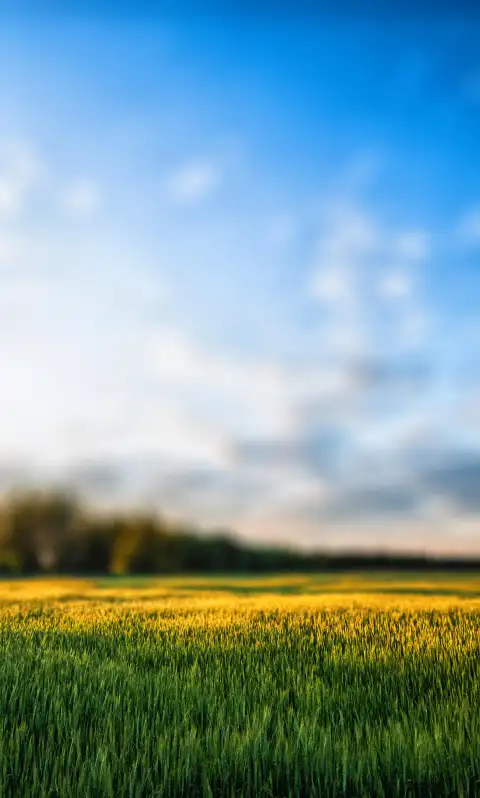 Field With Sky  Picsart Editing Background HD Download