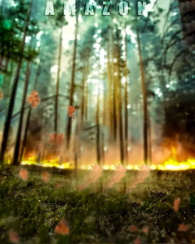 Fire Burning Forest CB Edit Background HD