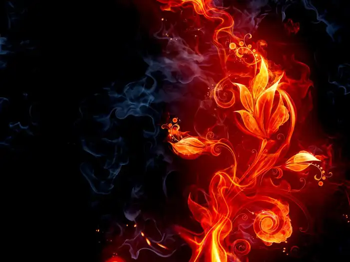 Fire Flowers Background HD Images Download