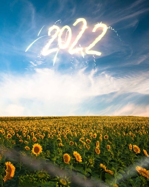 Flower 2022 Happy New Year CB PicsArt Editing Background