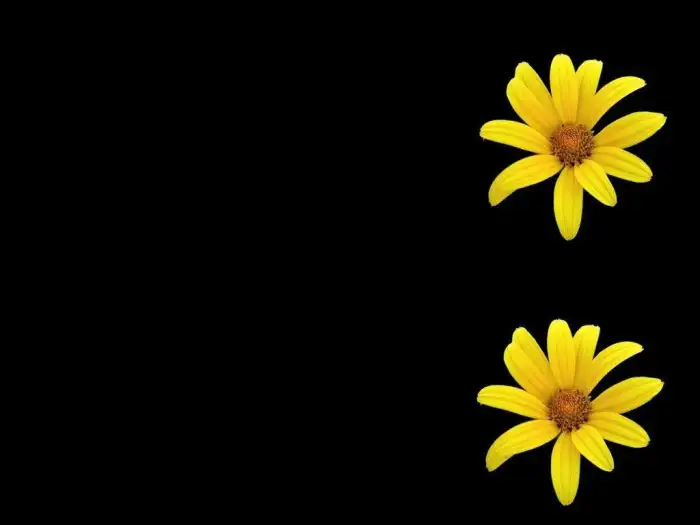 Flower Black And Yellow Background HD Wallpapers