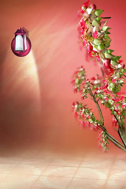 Flower Guldasta Studio Indoor Background HD Download