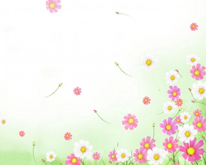 Flower PowerPoint Background  Download Full HD