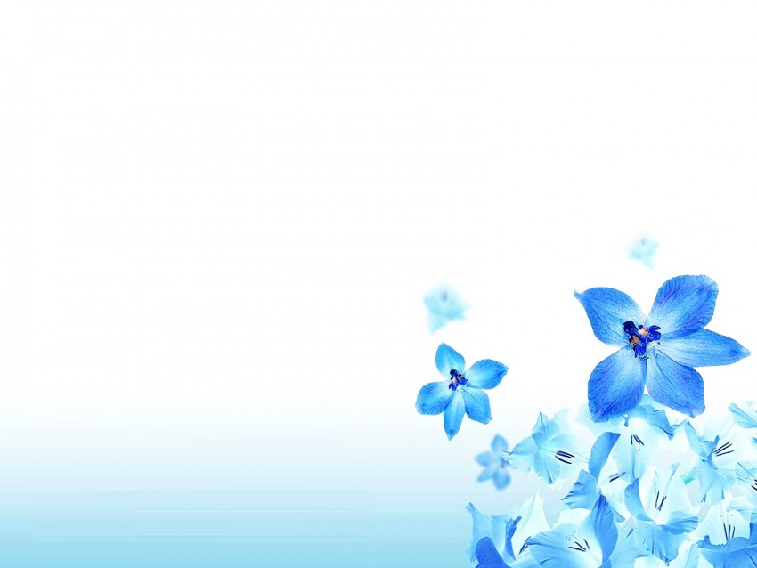 Flower PowerPoint Background Image Photo