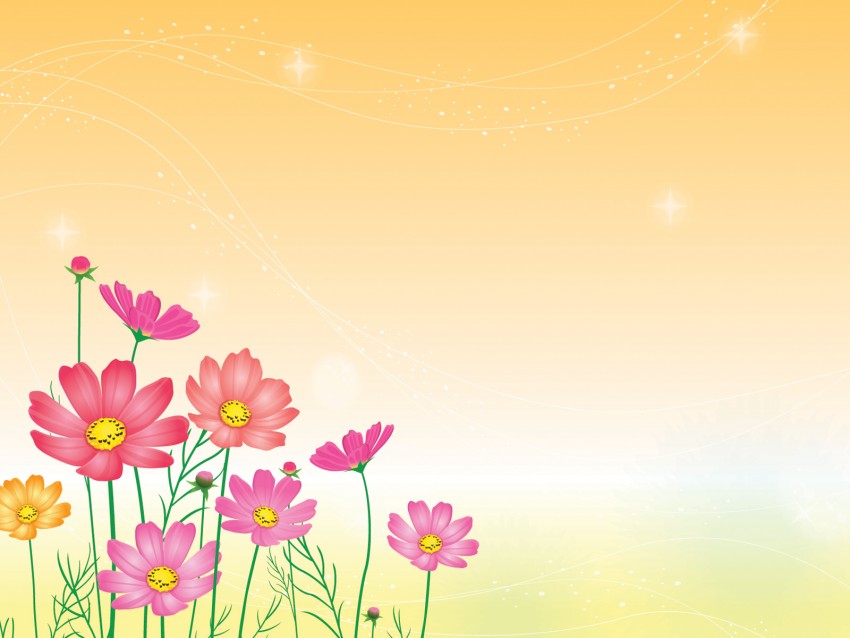 Flower PowerPoint Background Image Photo