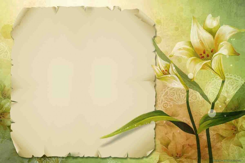 Flower PowerPoint Background  Photos Download