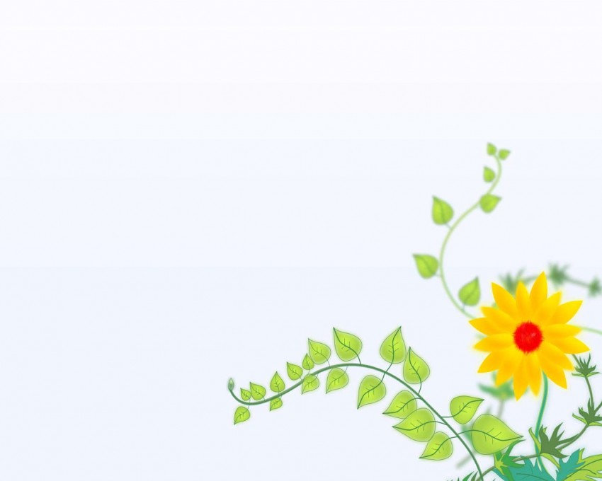 Flower PowerPoint Background Picture High Quality