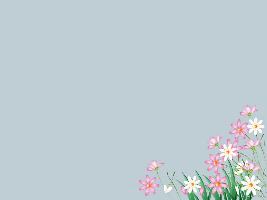 Flower PowerPoint PPT  Background  Download