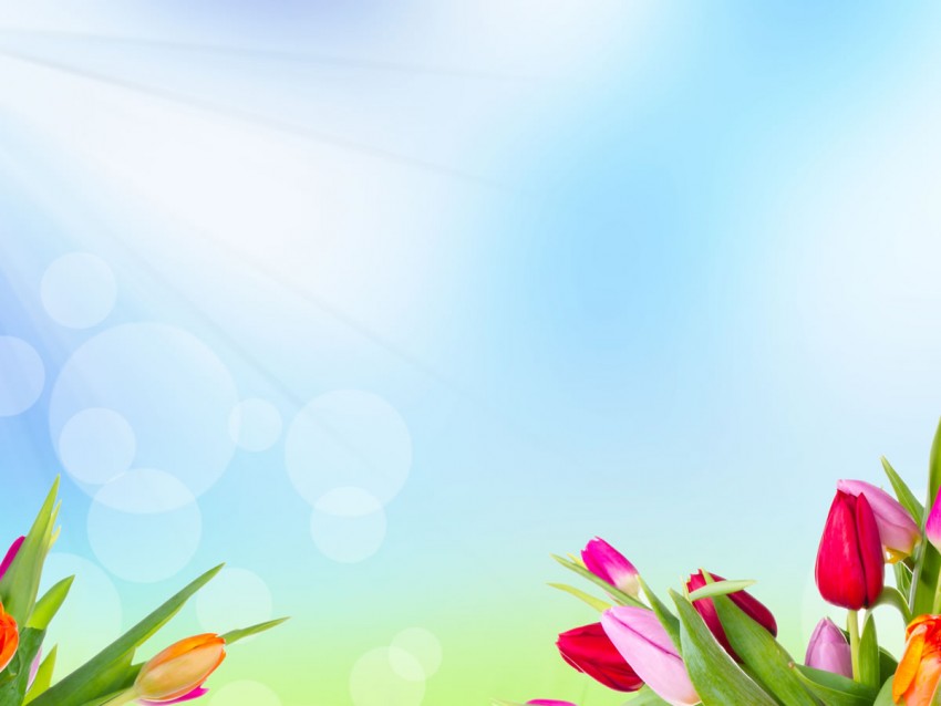 Flower PowerPoint PPT Background Picture Download