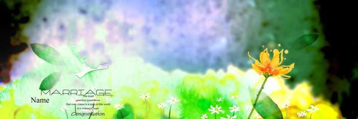 Flower PSD  Flex Banner Background High Resolution Free