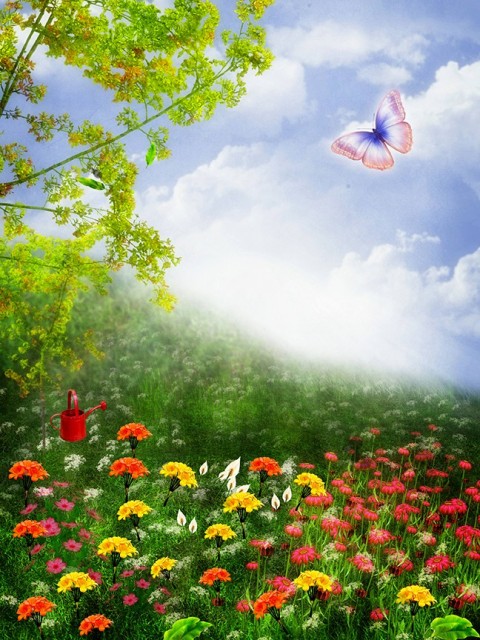 Flower Studio Background HD Download