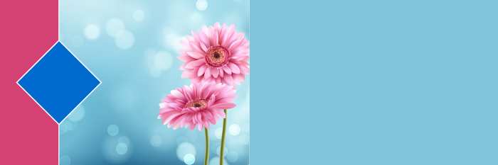 Flower Wedding Album Background Image Download