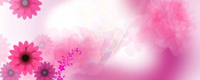 Flowers Pink  Wedding Album Backgrounds HD Wallpapers