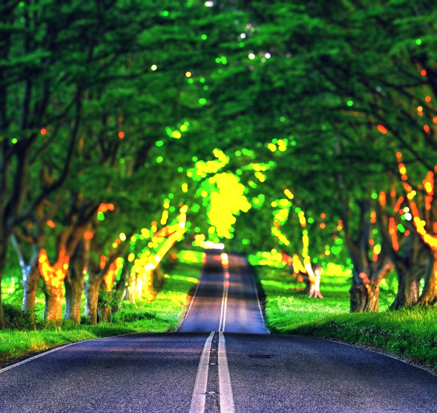 Forest Blur CB Nature Road Background HD Download