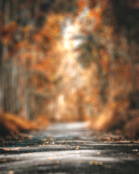 Forest Blurred Editing CB Picsart Background  HD Download