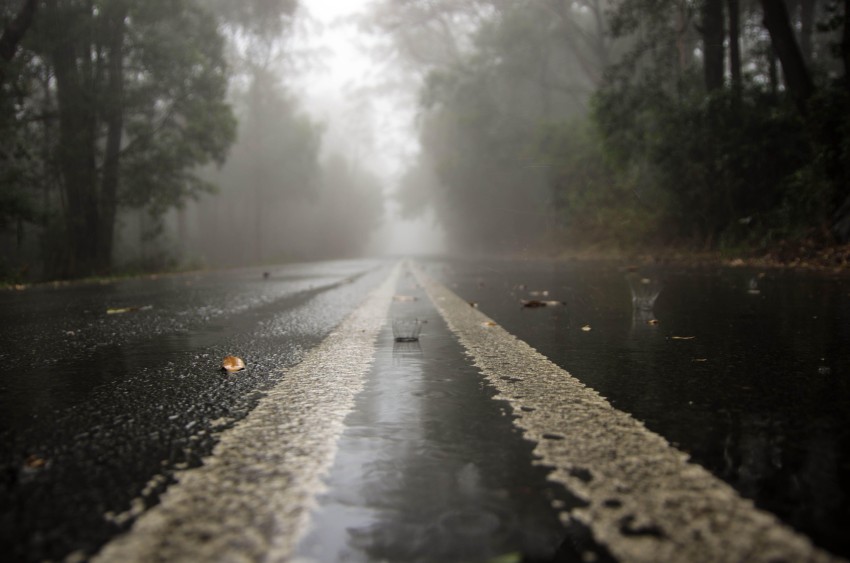 Forest Empty Road Background HD Background Free