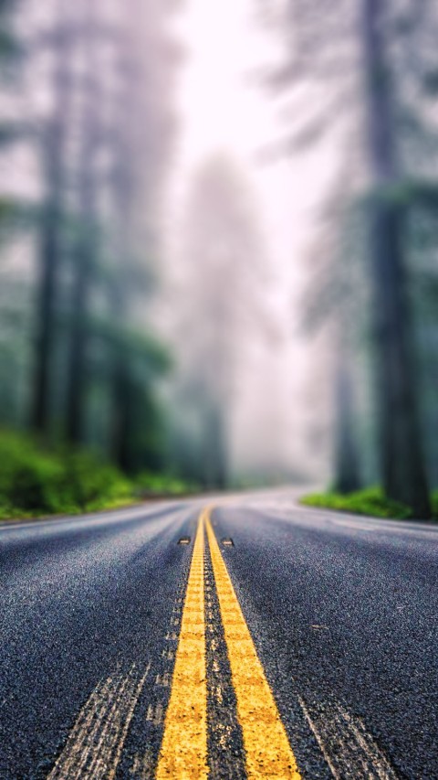 Forest Highway Road CB Picsart Background HD