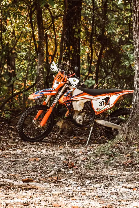 Forest KTM Bike Editing Background HD Download