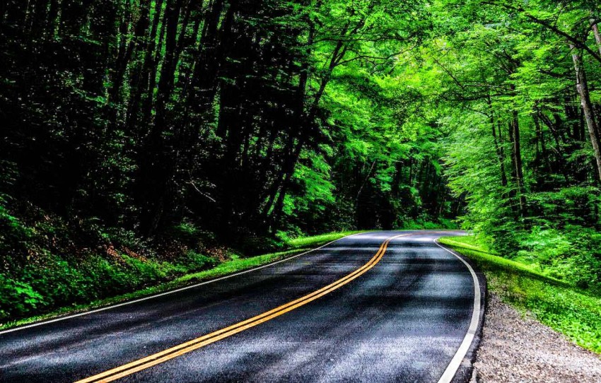 Forest Nature Road Editing Background HD Download