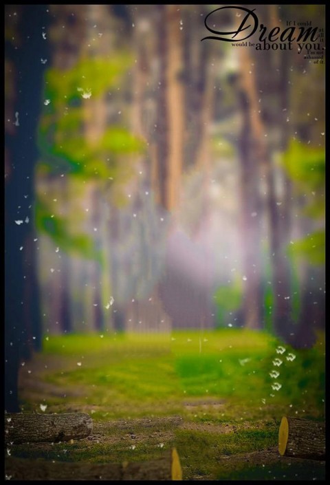 Forest Picsart CB Background Download