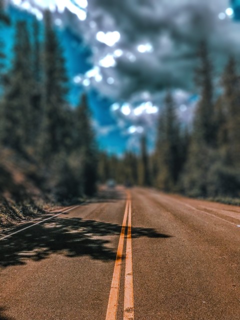 Forest  Road CB Editing Picsart Background HD Download