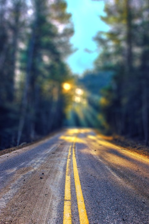 Forest Road CB Photoshop Editing Background Full HD Download