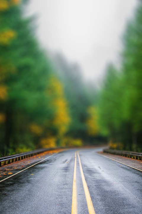 Forest Road CB Photoshop Editing Background Full HD Download