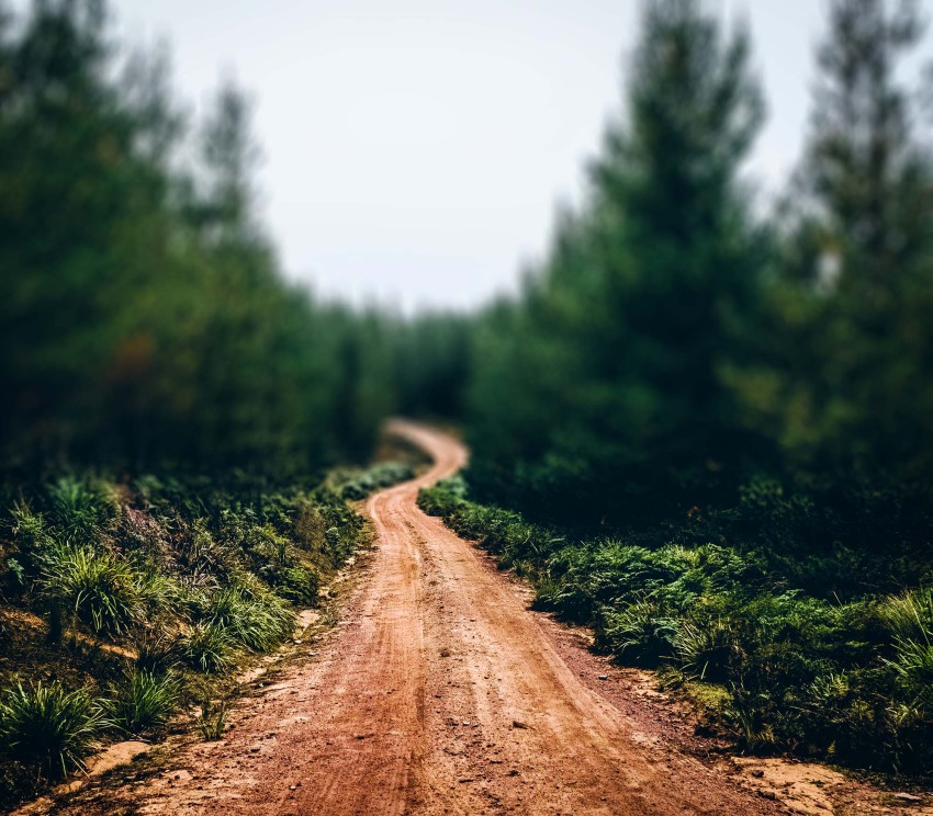 Forest Road  CB Picsart Background Full HD Download