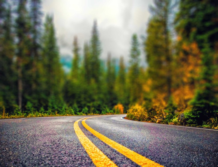 Forest Road CB Picsart Editing Background HD Download