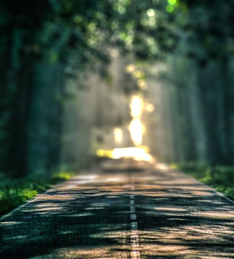 Forest Road Editing  CB Picsart Background Full HD Download