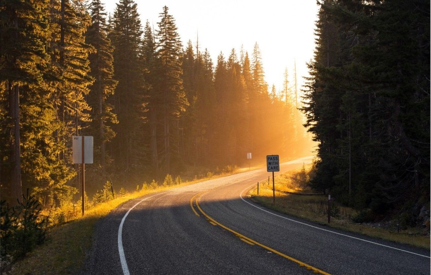 Forest Sunset  Road Background  Full HD   Download Free