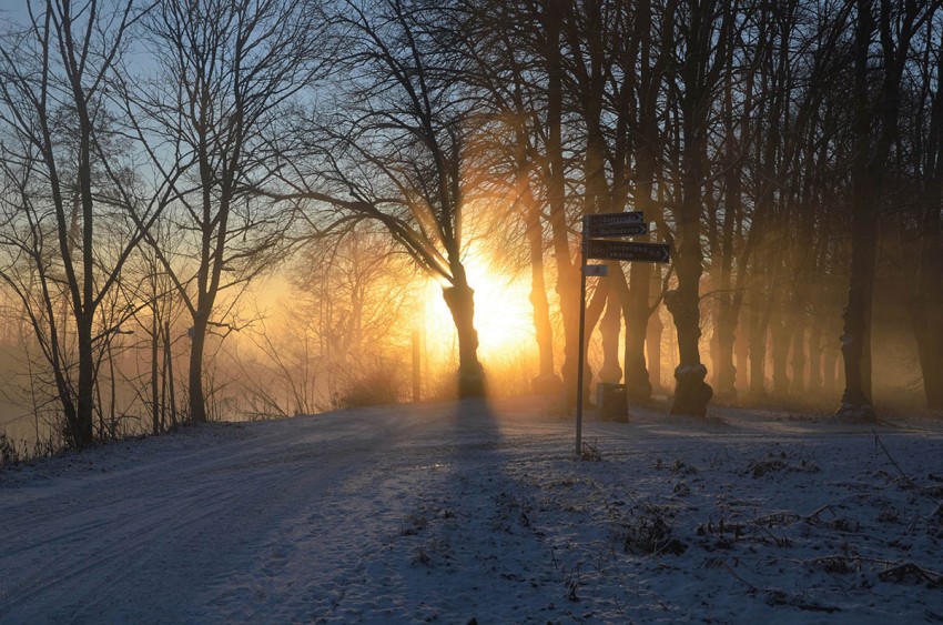 Forest Winter Road Background Full HD Download