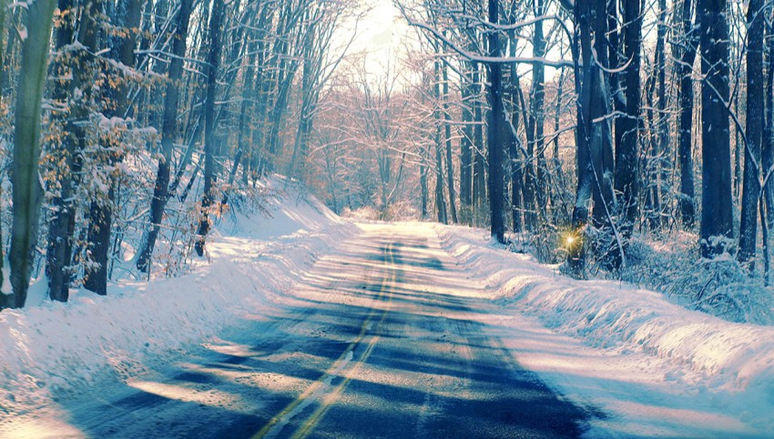 Forest Winter Road Background Full HD Download