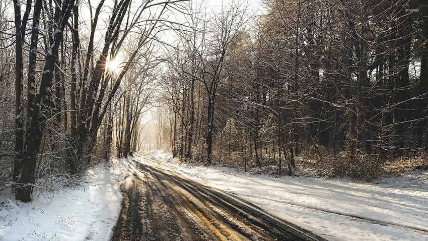 Forest Winter Road Background Full HD Download