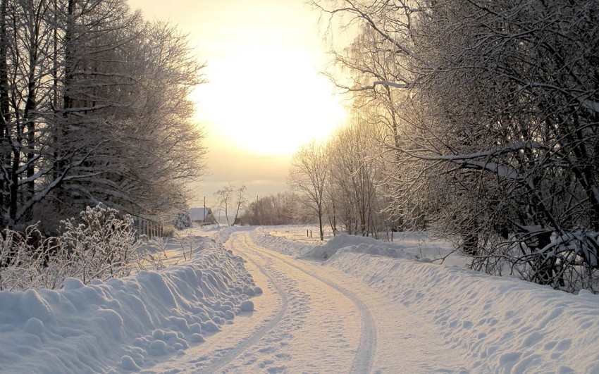 Forest Winter Road Background Full HD Download