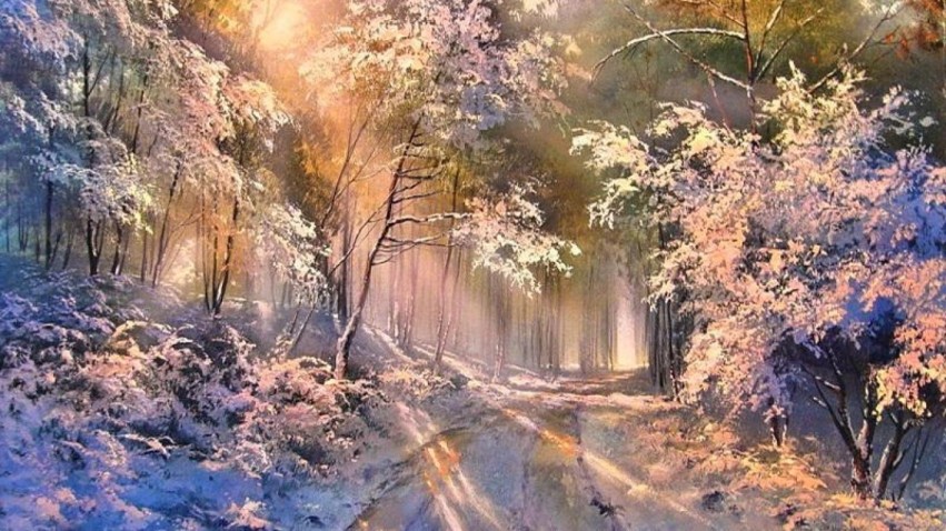 Forest Winter Road Background Full HD Download