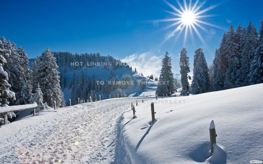 Forest Winter Road Background Full HD Download