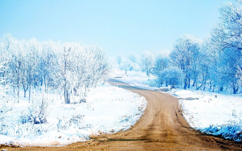 Forest Winter Road Background Full HD Download Free