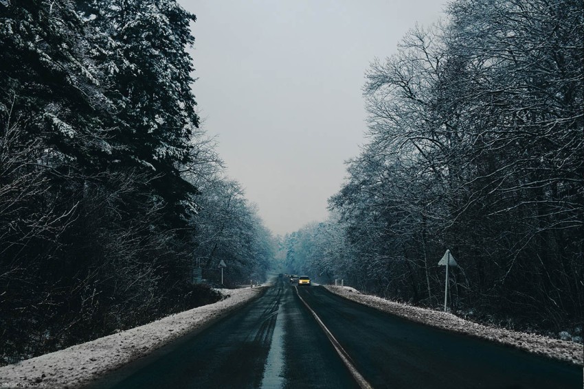 Forest Winter Road Background Full HD Free