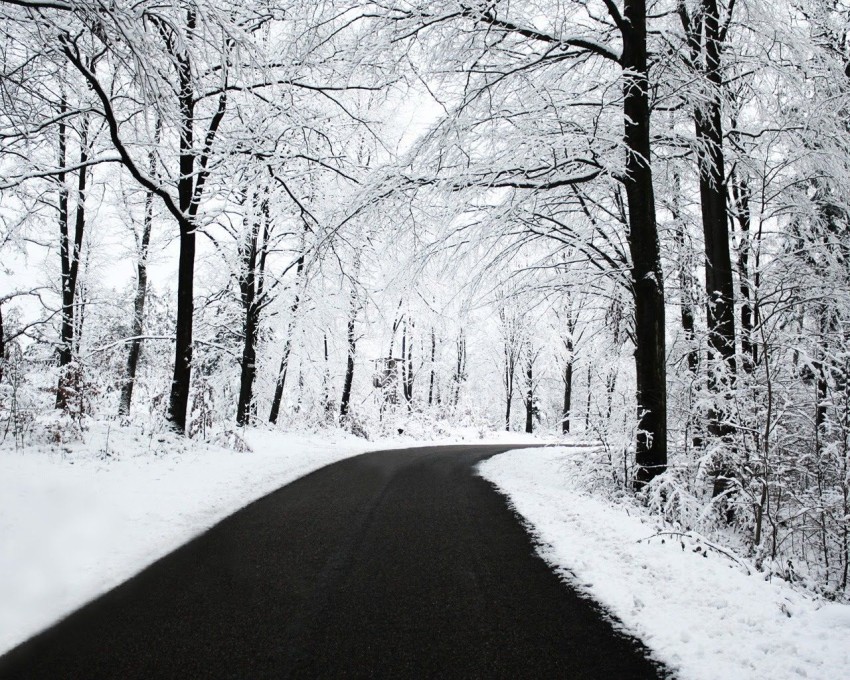 Forest Winter Road Background Full HD Free